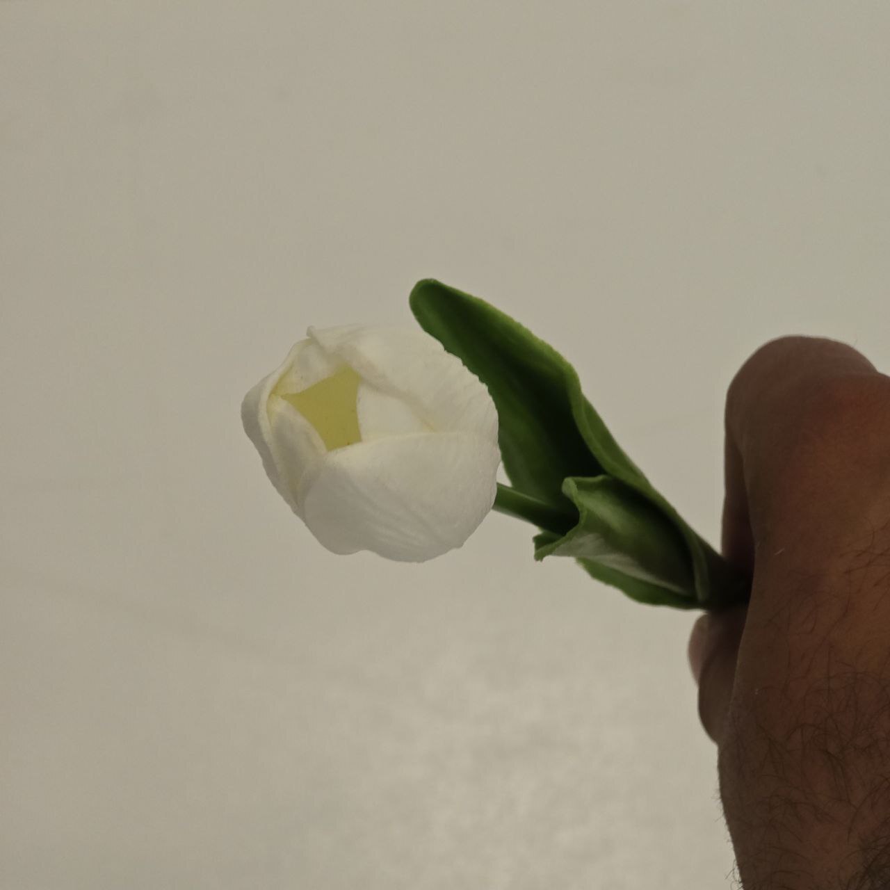  گل مصنوعی لاله فومی 