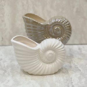 گلدان حلزونی ژورنالی