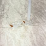 جا شمعی بلوری قلبی - Image 6